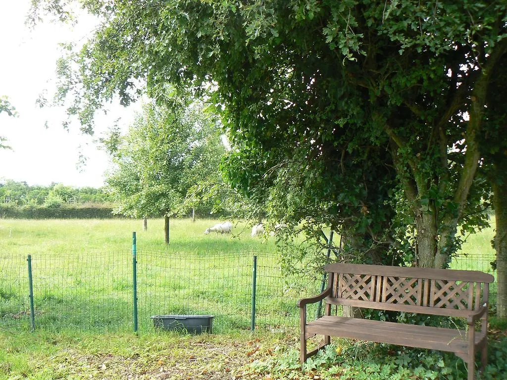 B&B 'T Wit Reigertje Oudenburg Bed & Breakfast