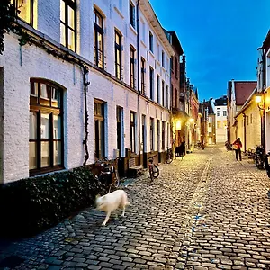 Heaven At 11, Your Deluxe With Personal Bathroom, Kitchenette & Terrace , Ghent Belgium